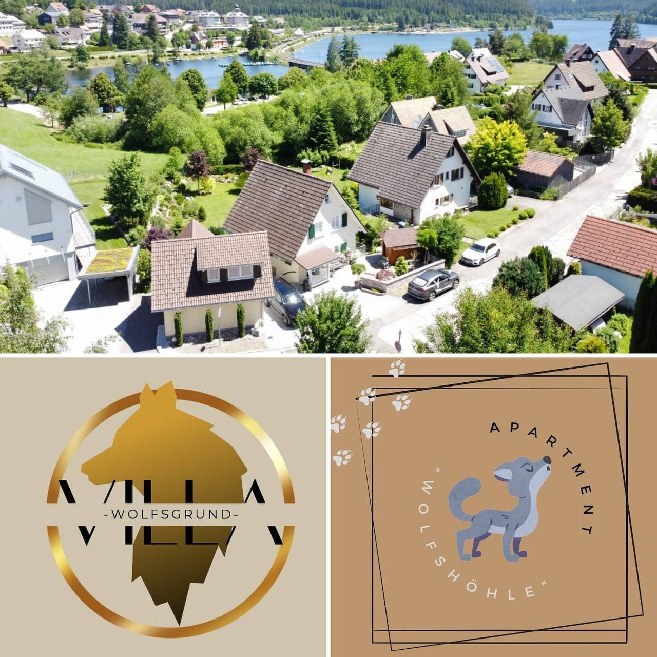 Apt Wolfshöhle - 300m am Schluchsee 1