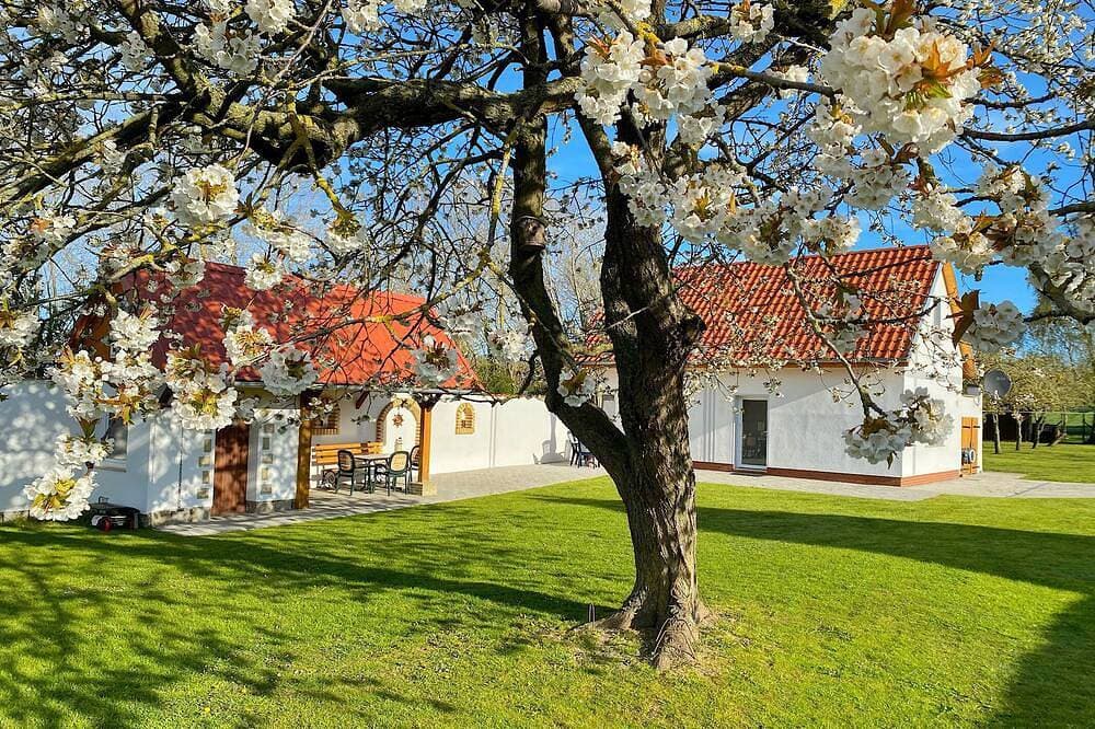 Ferienhaus Berta auf der Insel Rügen in Dubnitz bei Sassnitz 1