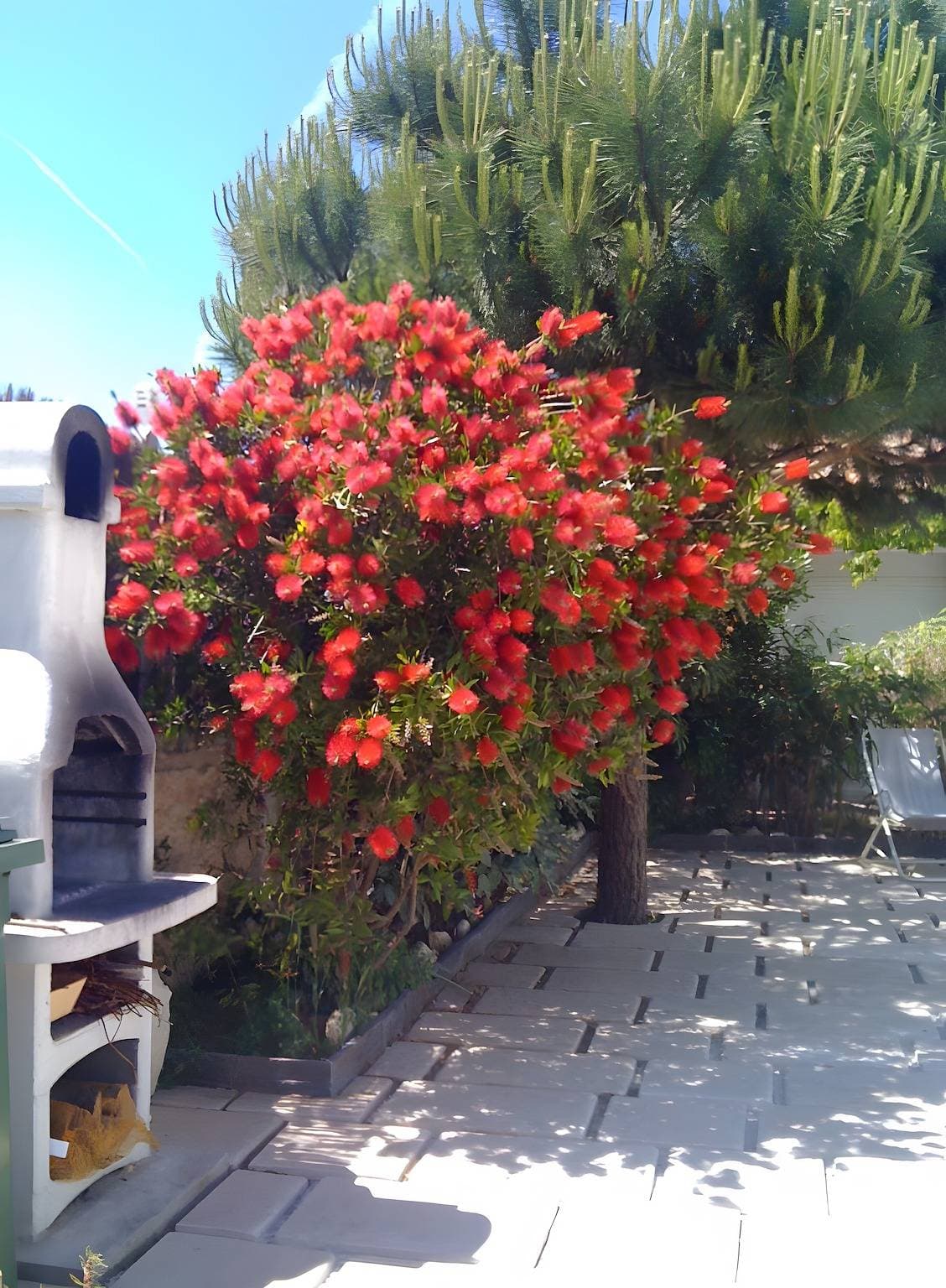 Foto 12 von 21: Port de la Cotinière – Fischerhaus nur 30 m vom Meer entfernt
