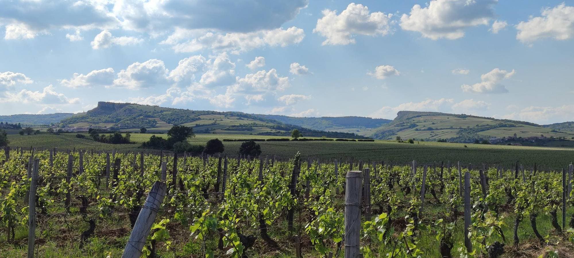 Foto 2 von 19: Château de Mouhy