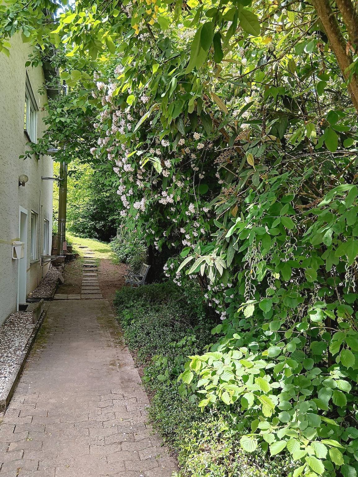 Foto 5 von 16: Ferienwohnung