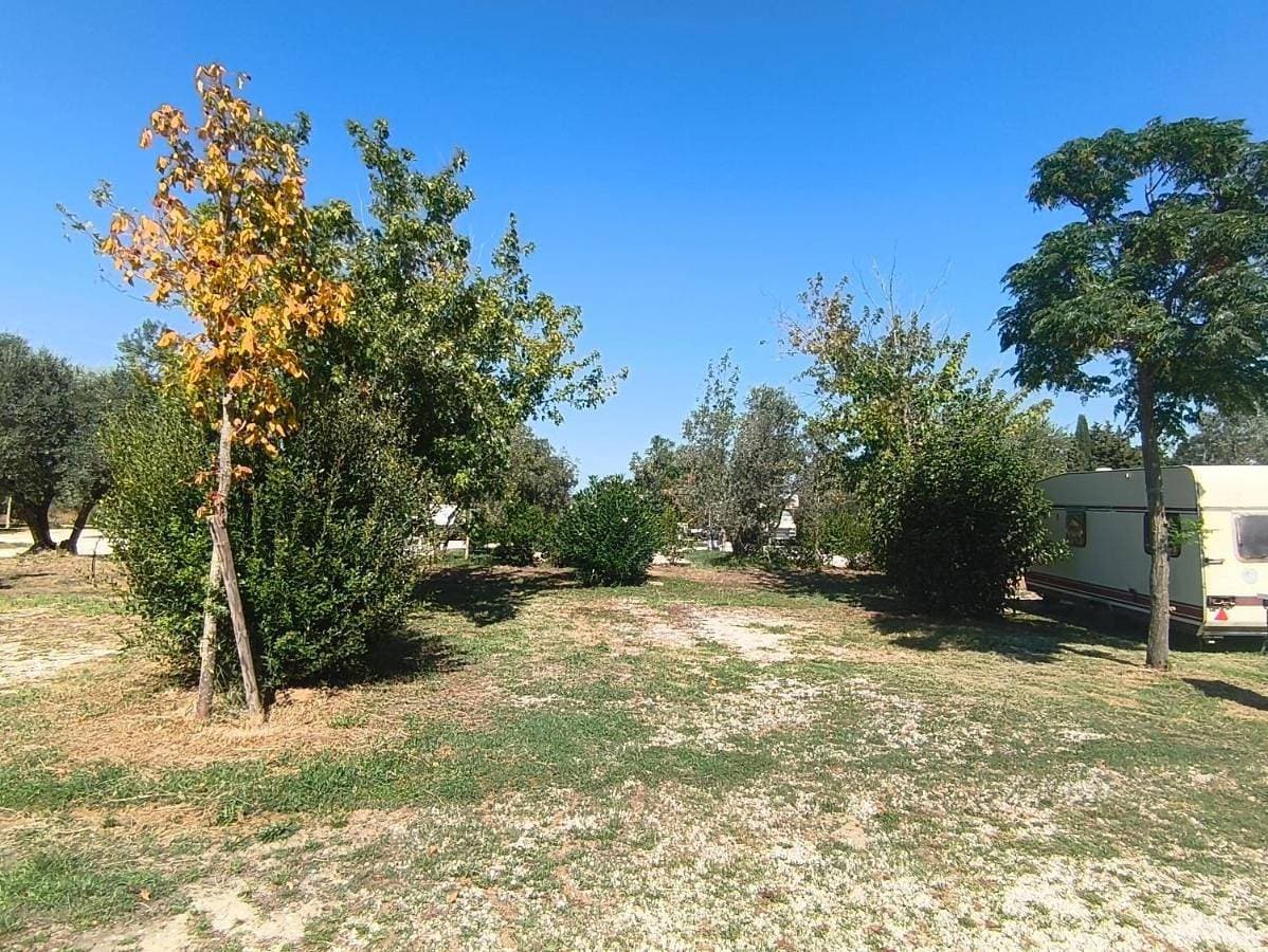 Agrivillage Orticillo 1