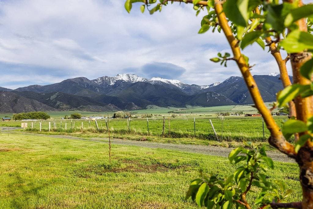 Foto 3 von 28: Off-grid tiny home in apple orchard with million-dollar mountain views!