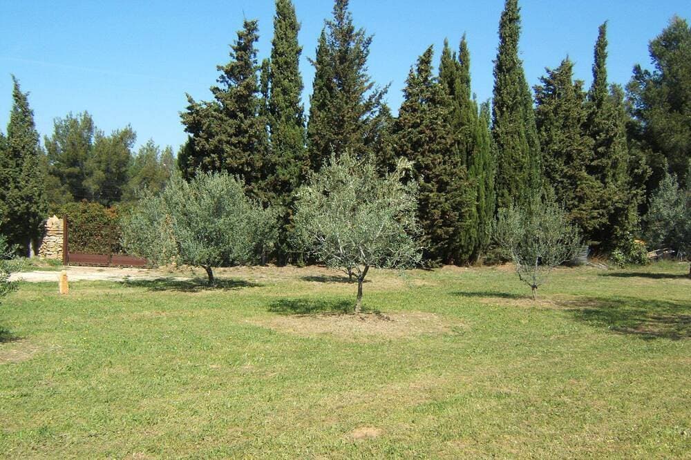 Foto 11 von 23: Provenzalisches Bauernhaus aus Stein im Herzen eines Olivenhains, 2000m2 ruhiges Land