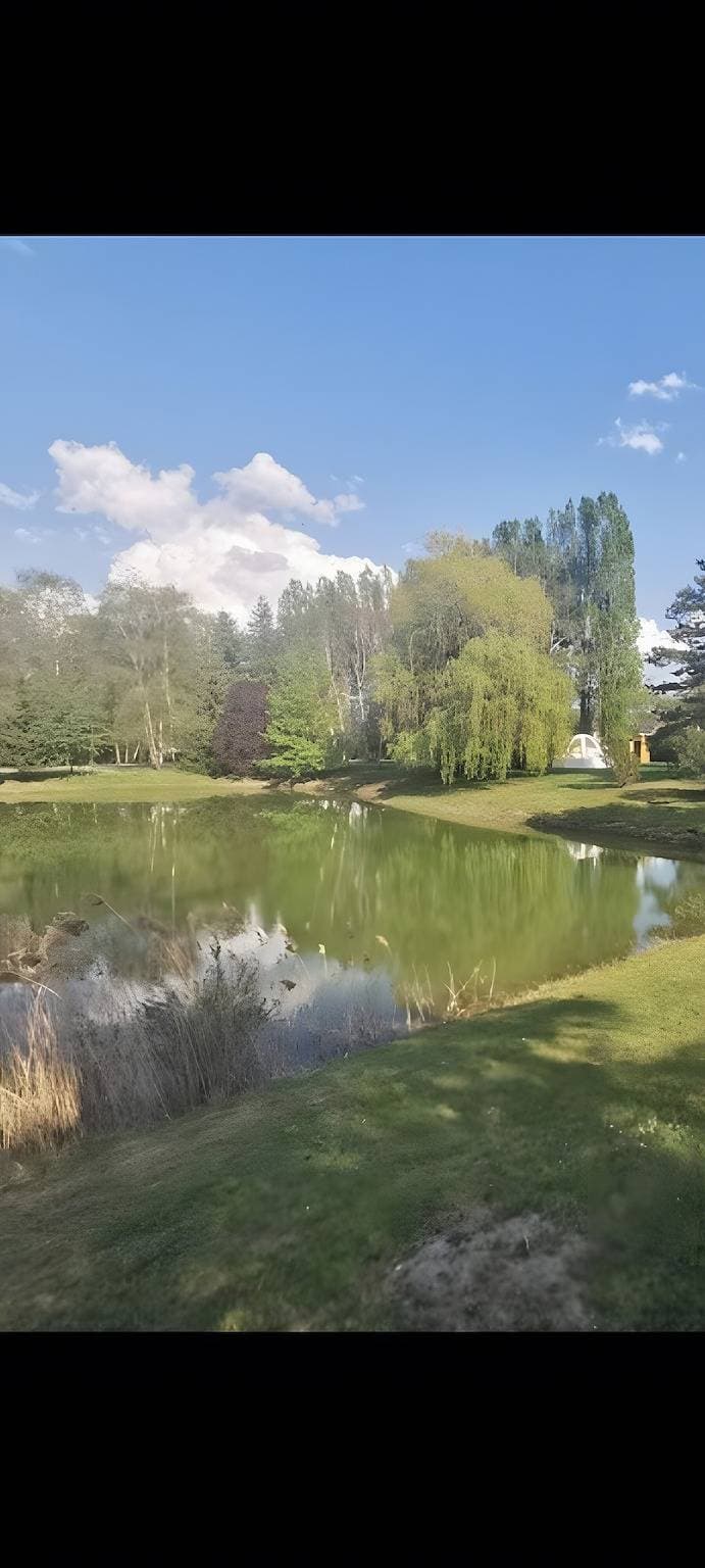 Foto 13 von 31: Gästezimmer „Bulle des Châteaux“ mit WLAN und Pool