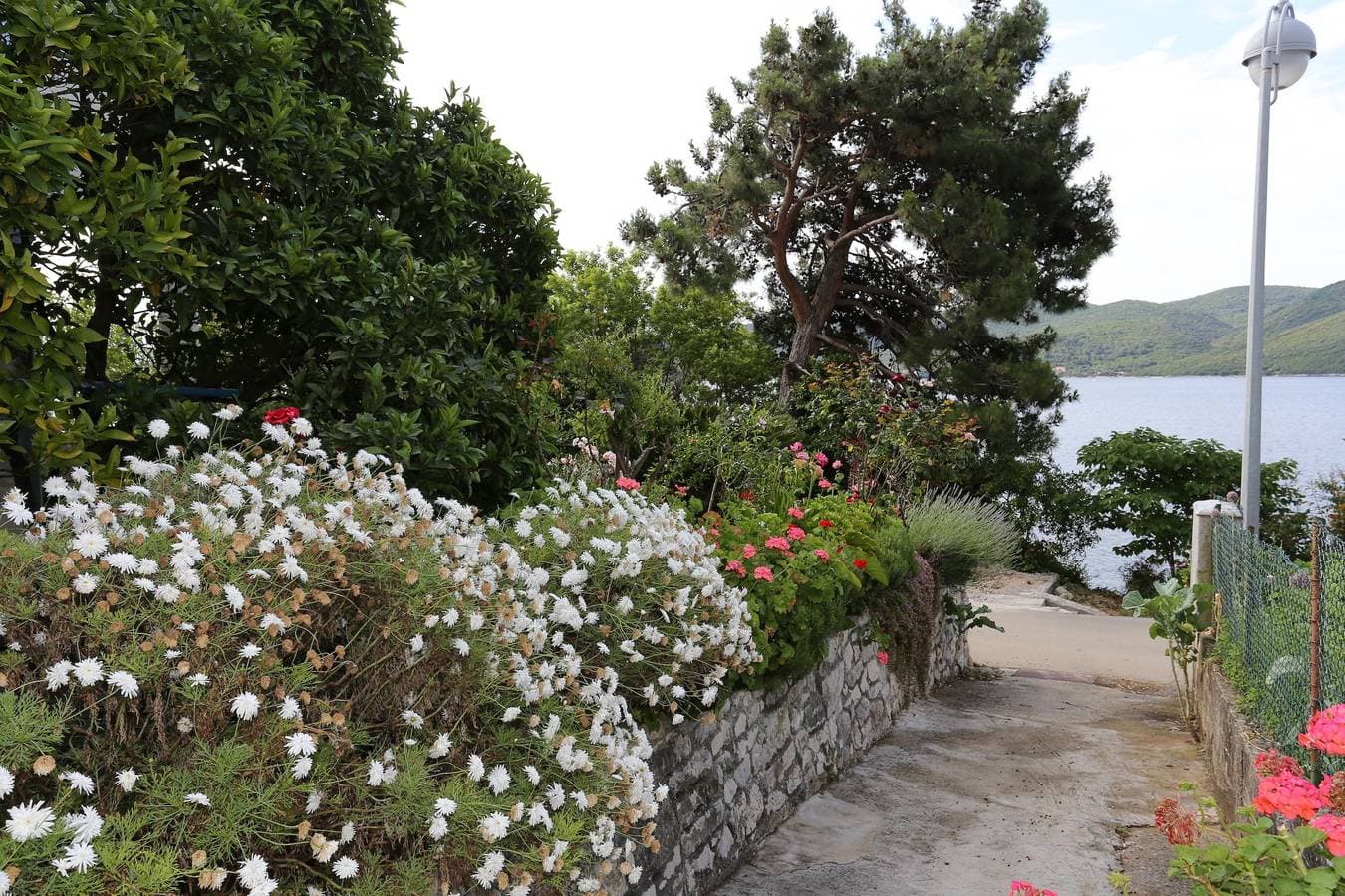 Foto 12 von 26: 1-Zimmer-Ferienwohnung am Strand Viganj, Peljesac -d