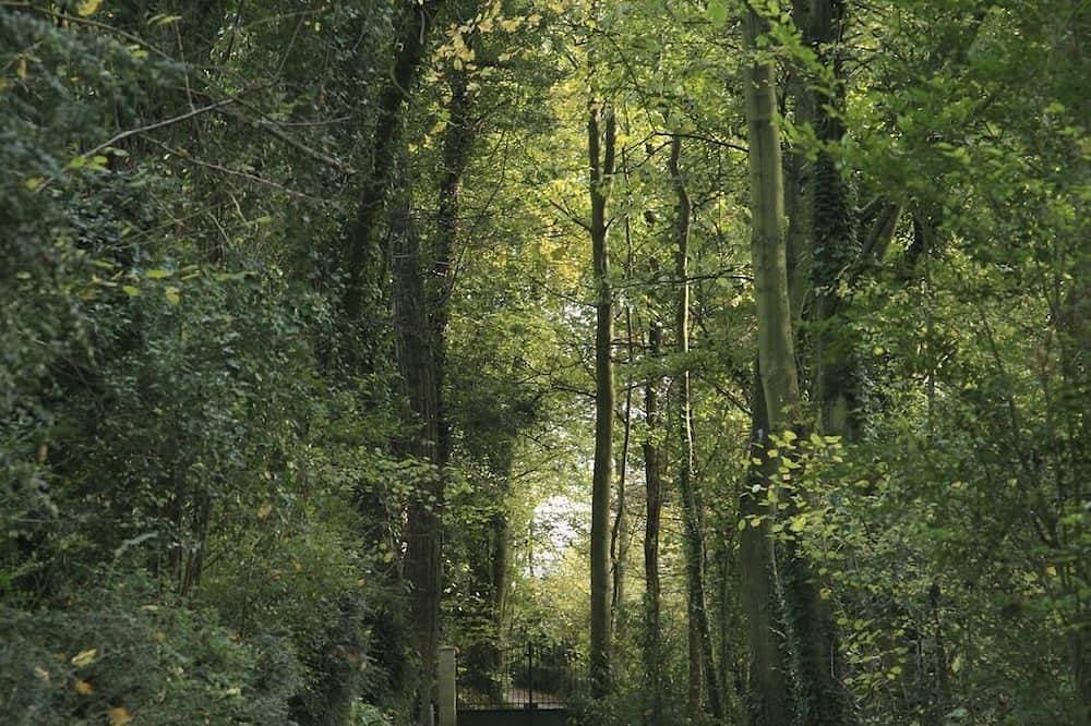 Normande De Grestain 1