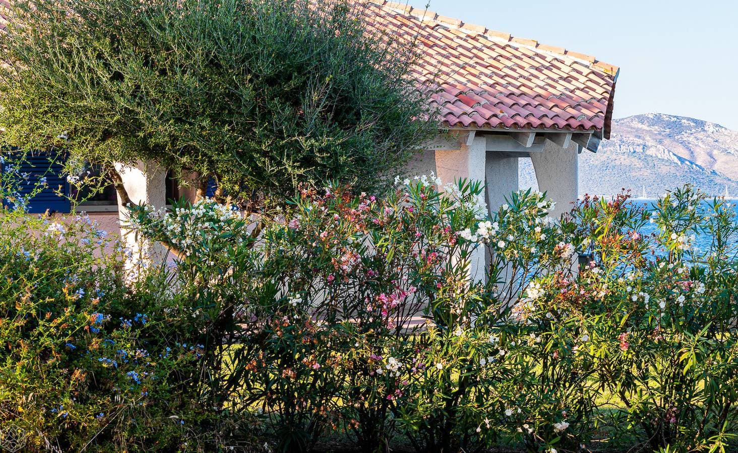Foto 5 von 40: Villa Miriam - modernes pied dans l'eau, Pittulongu