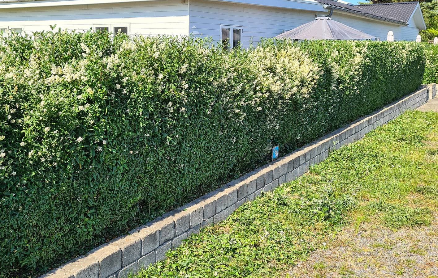 Foto 3 von 27: Ferienwohnung für 4 Personen mit Garten
