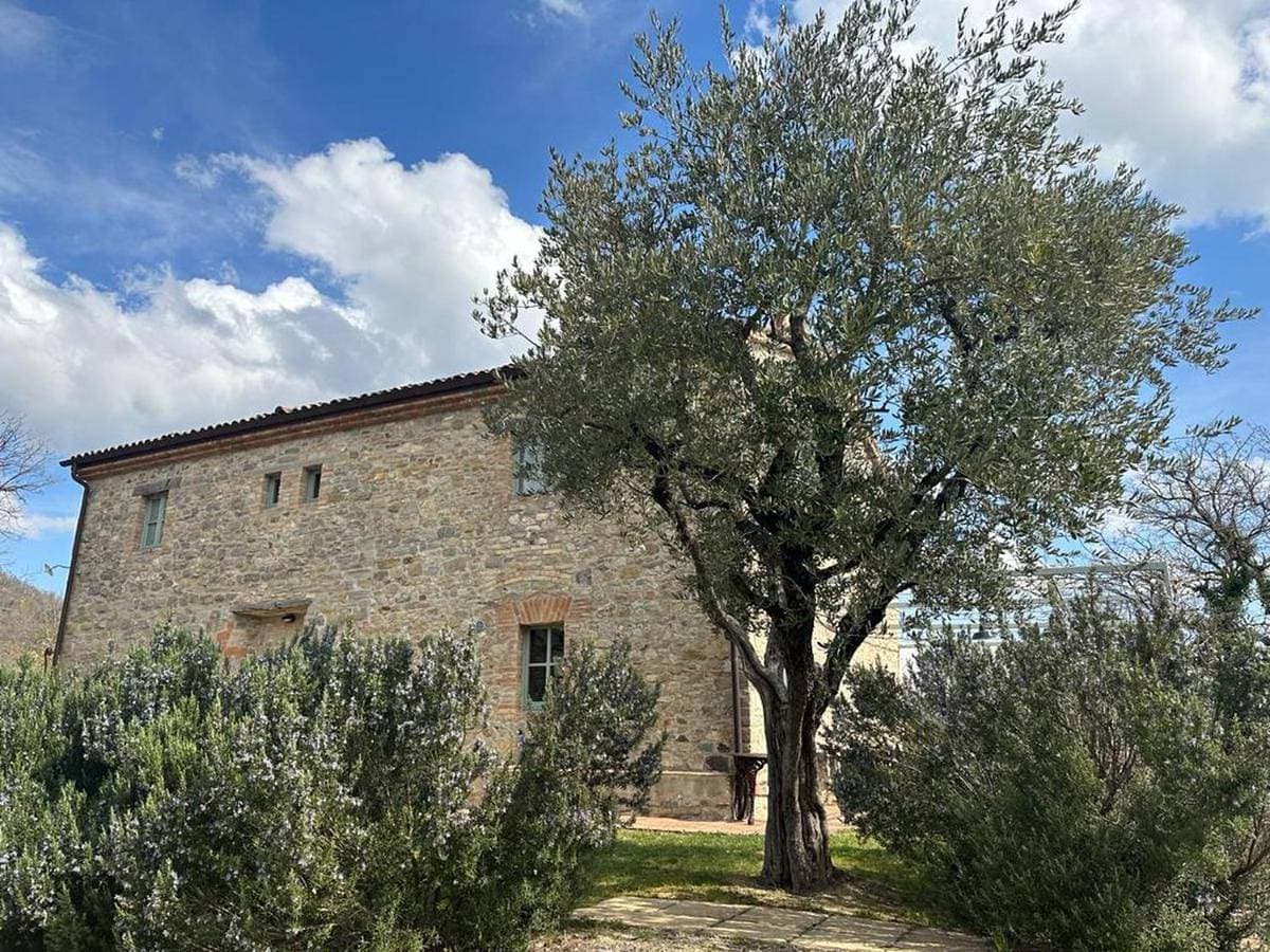 Borgo Cardaneto 1