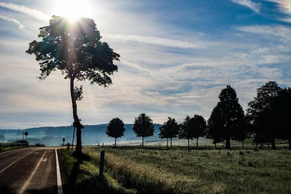 Foto 11 von 30: Feriendorf Reinskopf in der Eifel