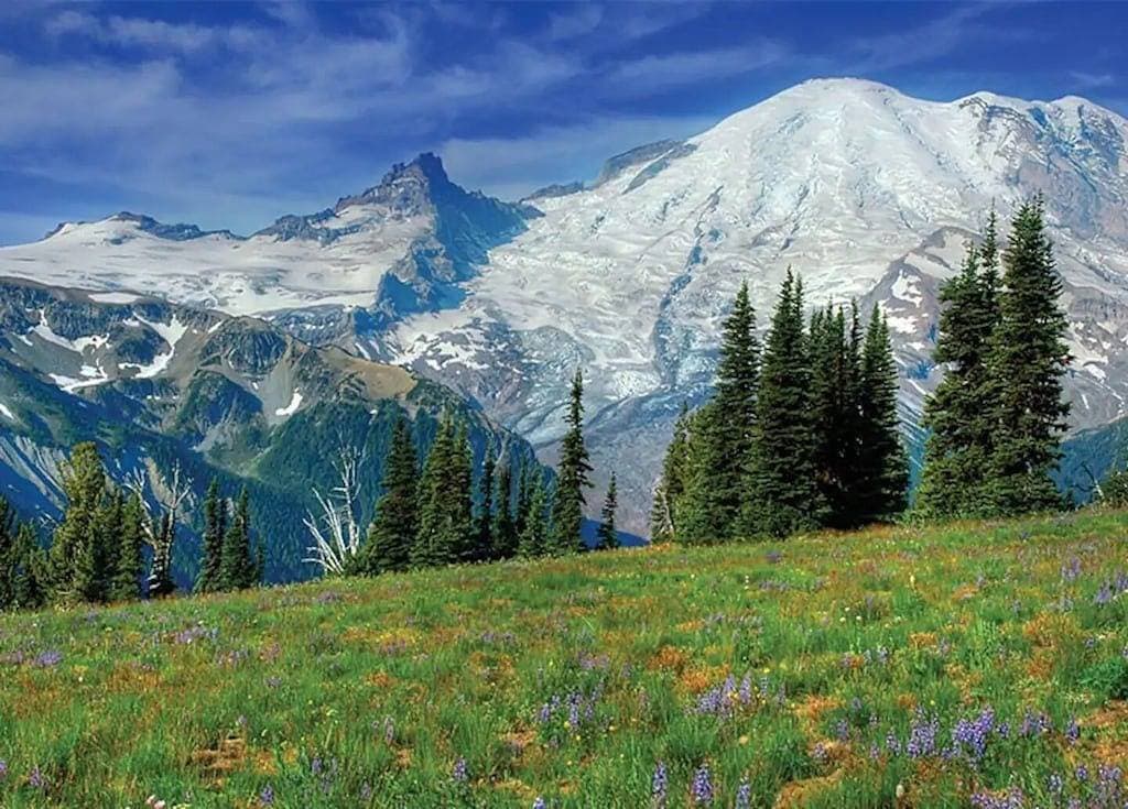 Foto 5 von 28: Perfect Private Getaway in Seattle's Southside!
