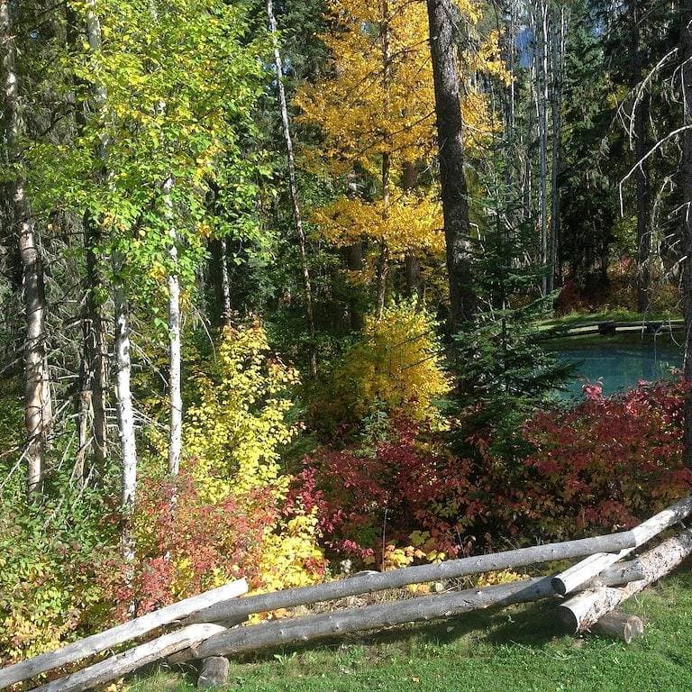 Foto 3 von 33: Revelation Valley Carriage House in der Nähe von Jasper National Park