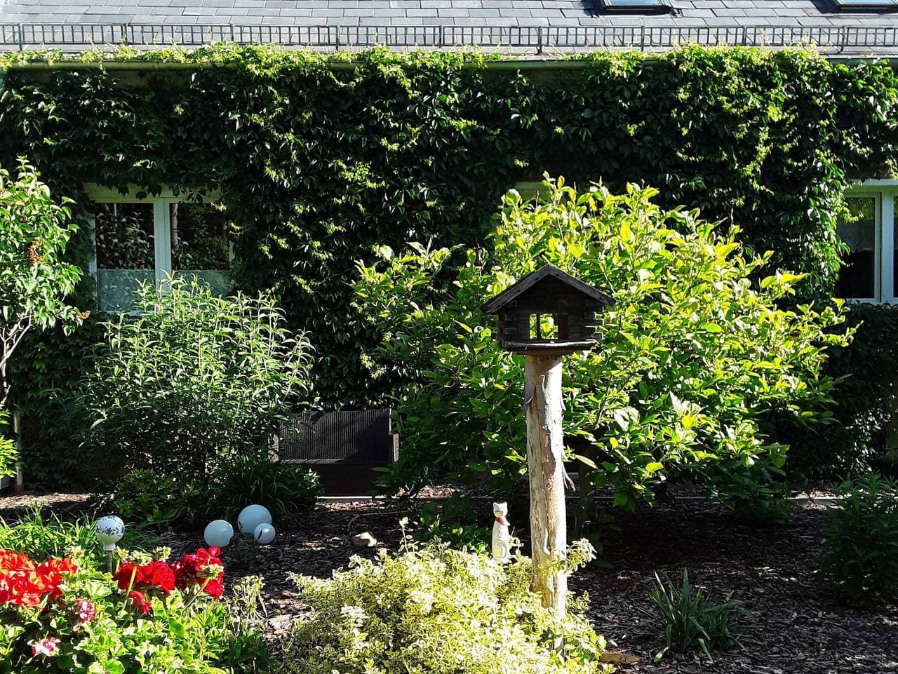 Foto 4 von 32: Ferienwohnung 'Wolf' mit privater Terrasse, Gemeinschaftsgarten und WLAN