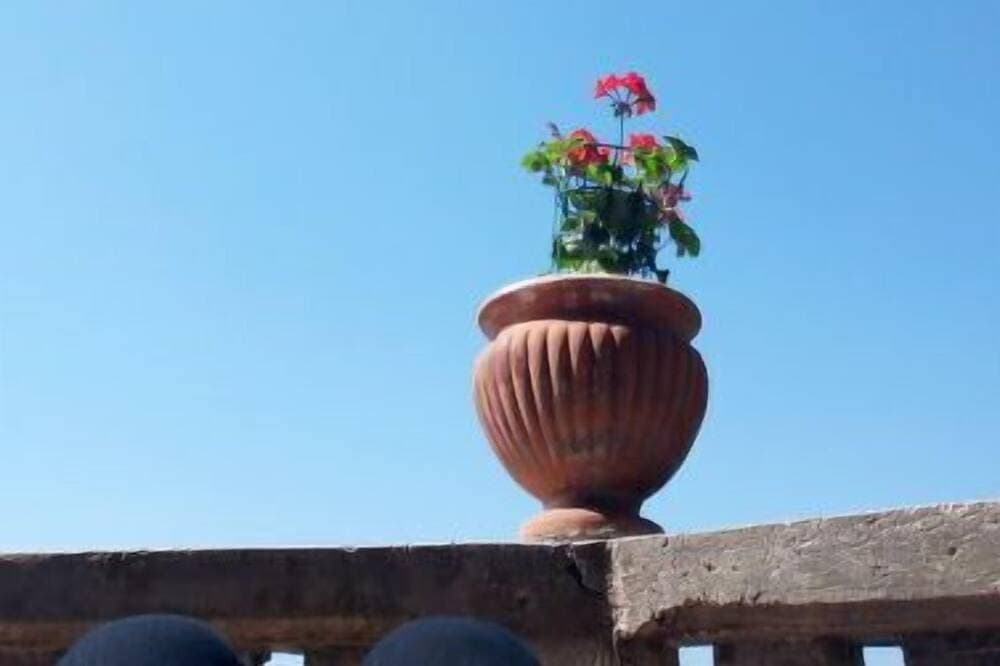 Foto 11 von 27: La dea della stella polare