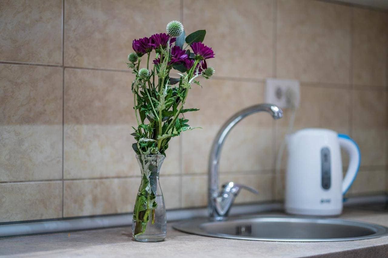 Foto 9 von 24: Ferienwohnung für 3 Personen mit Garten
