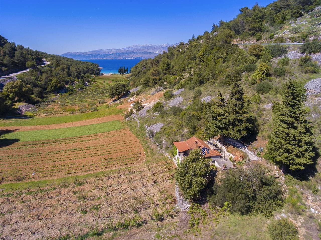 House Silvana 1