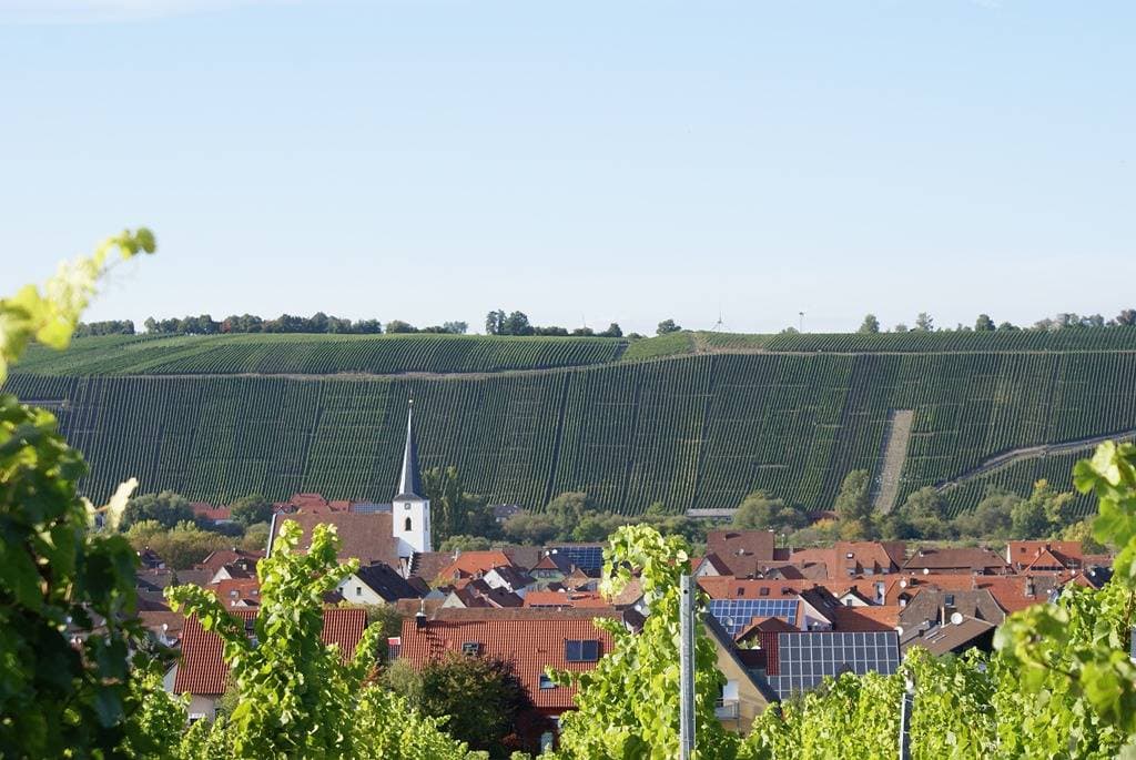Foto 3 von 13: Weingut und Gästehof Borst - Helles Doppelzimmer mit Balkon und WLAN