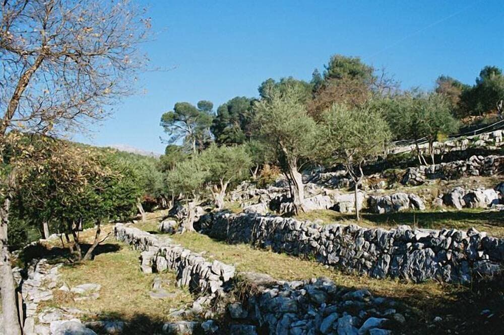 Foto 11 von 15: L'Oustaou - La Colle-sur-Loup