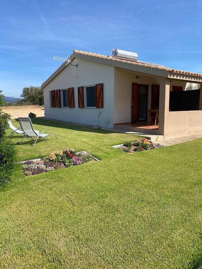 La Collina: Il tramonto 1