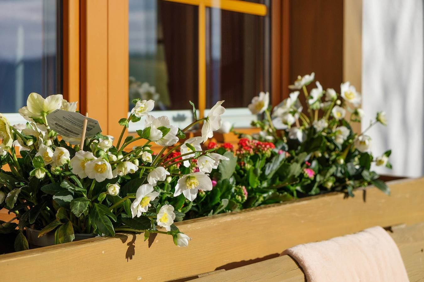 Foto 12 von 55: Ferienwohnung "Weißtanne" mit Bergblick, Gemeinschaftsgarten und WLAN