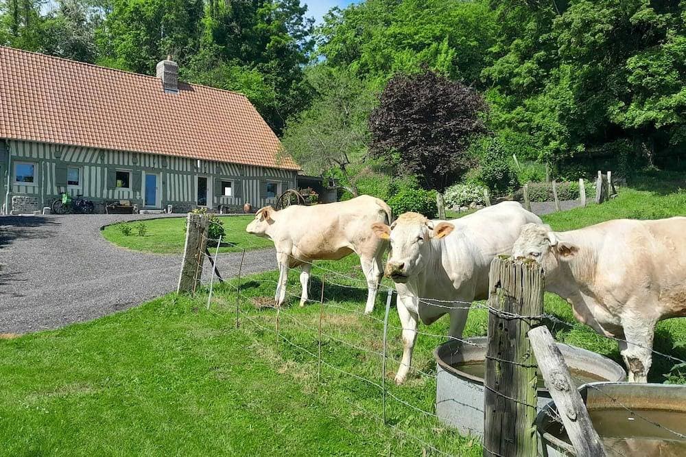 Foto 12 von 30: Homerez - Haus in Offranville