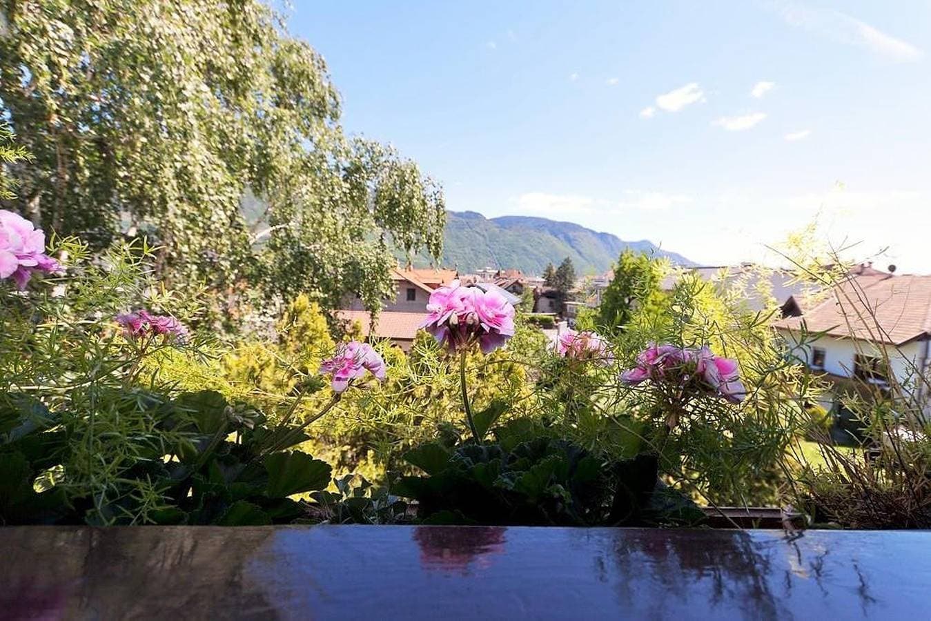 Foto 10 von 12: Einzimmerapartment 'Ferienwohnung Lanz 3' mit Bergblick, Privatem Garten und WLAN