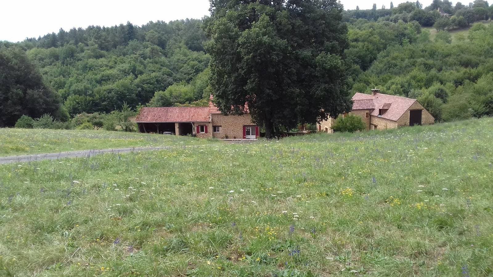 Foto 4 von 15: Le Brugal pour 6