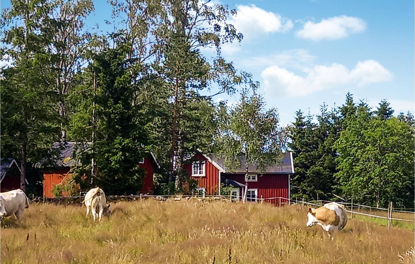 Foto 2 von 12: Ferienhaus für 4 Personen