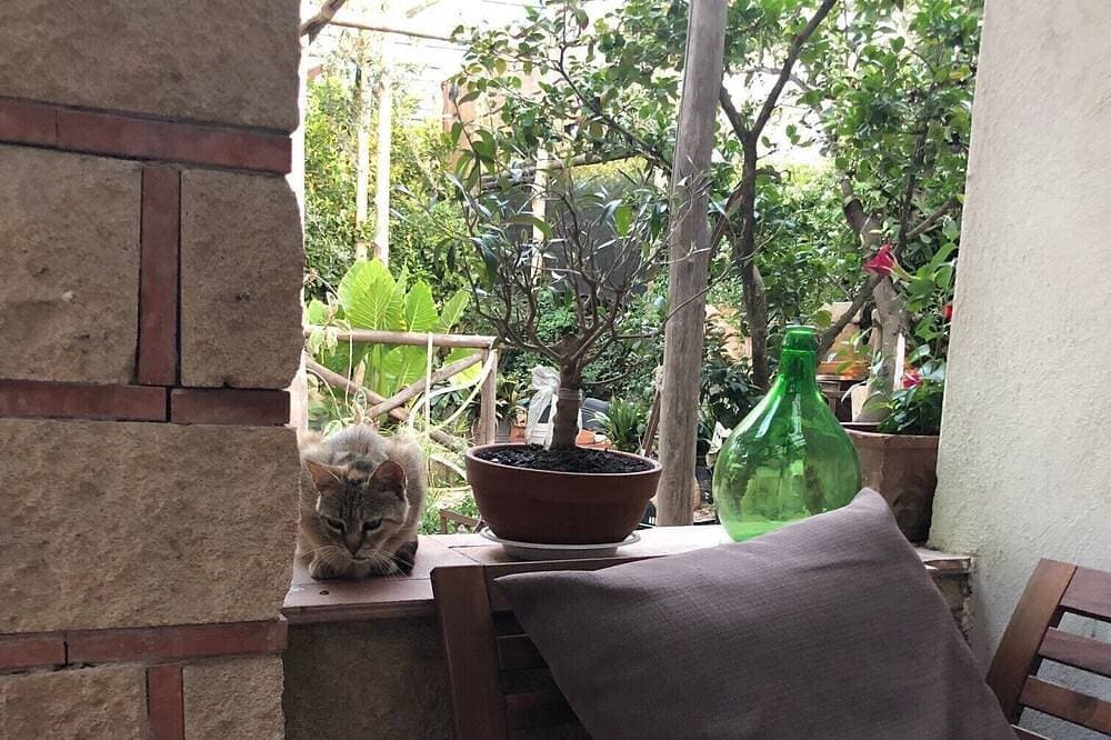 Foto 8 von 10: Li Cardilli Residenz für einen Aufenthalt in der Natur