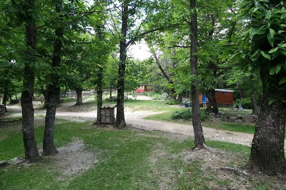 Foto 10 von 12: Zurück zu den Grundlagen: Der Narzissen-Trailer in der Nähe der Wanderwege