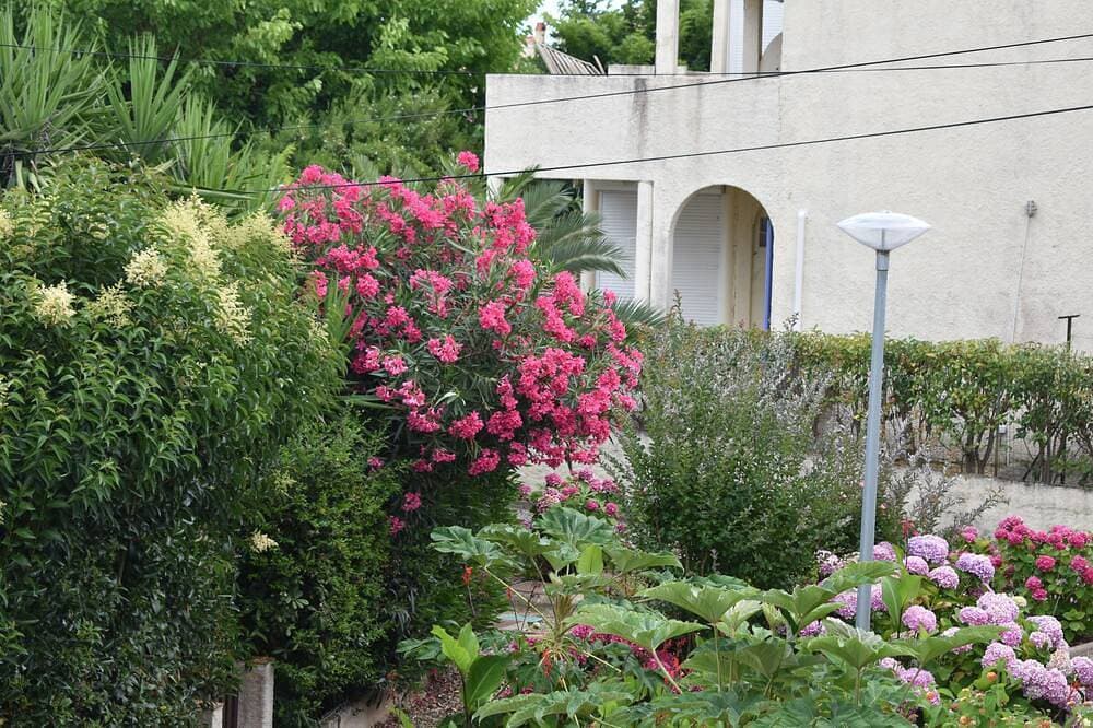 Foto 12 von 28: Strand 50 m. Ruhig, Grill, Auto vorhanden. Parkplatz. Myrtle Residenz 1
