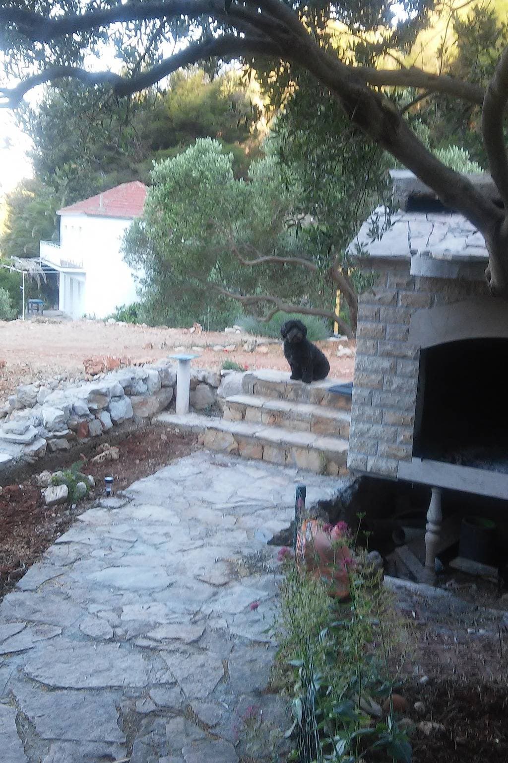 Foto 6 von 18: 1-Zimmer-Ferienwohnung am Strand Bucht Skozanje, Hvar A-14899-b