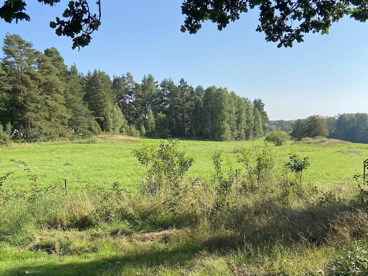 Foto 12 von 28: 4 Personen Ferienhaus in Ånimskog