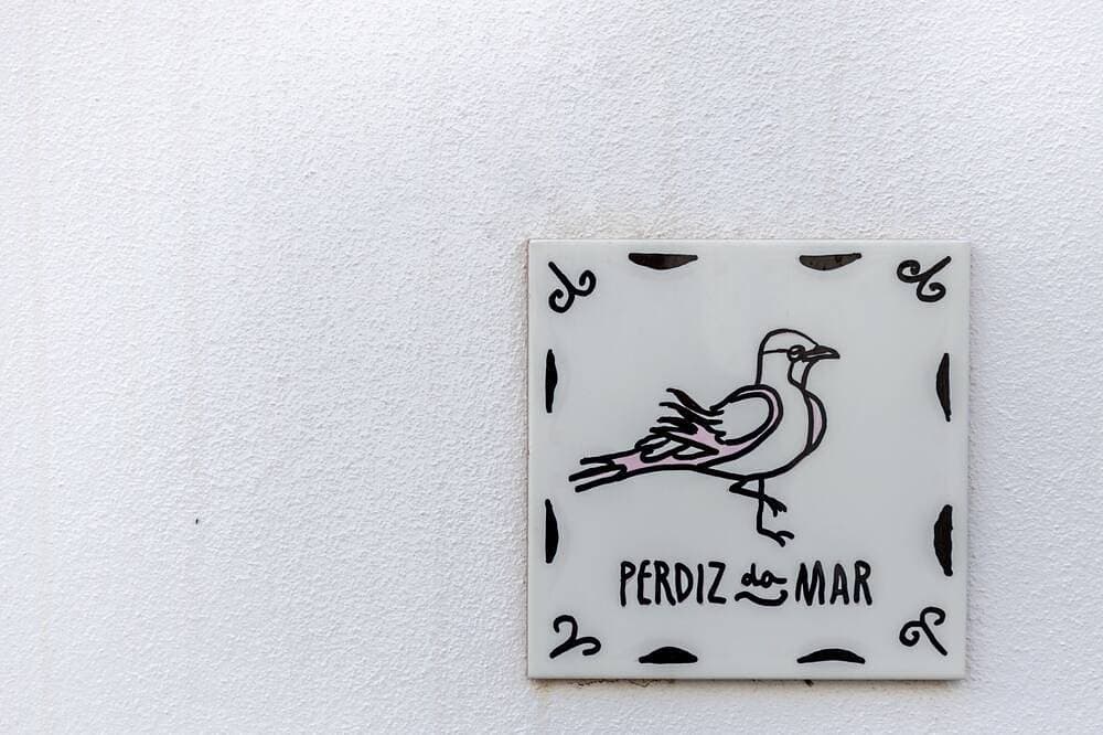 Foto 12 von 27: Perdiz do Mar  - Armona