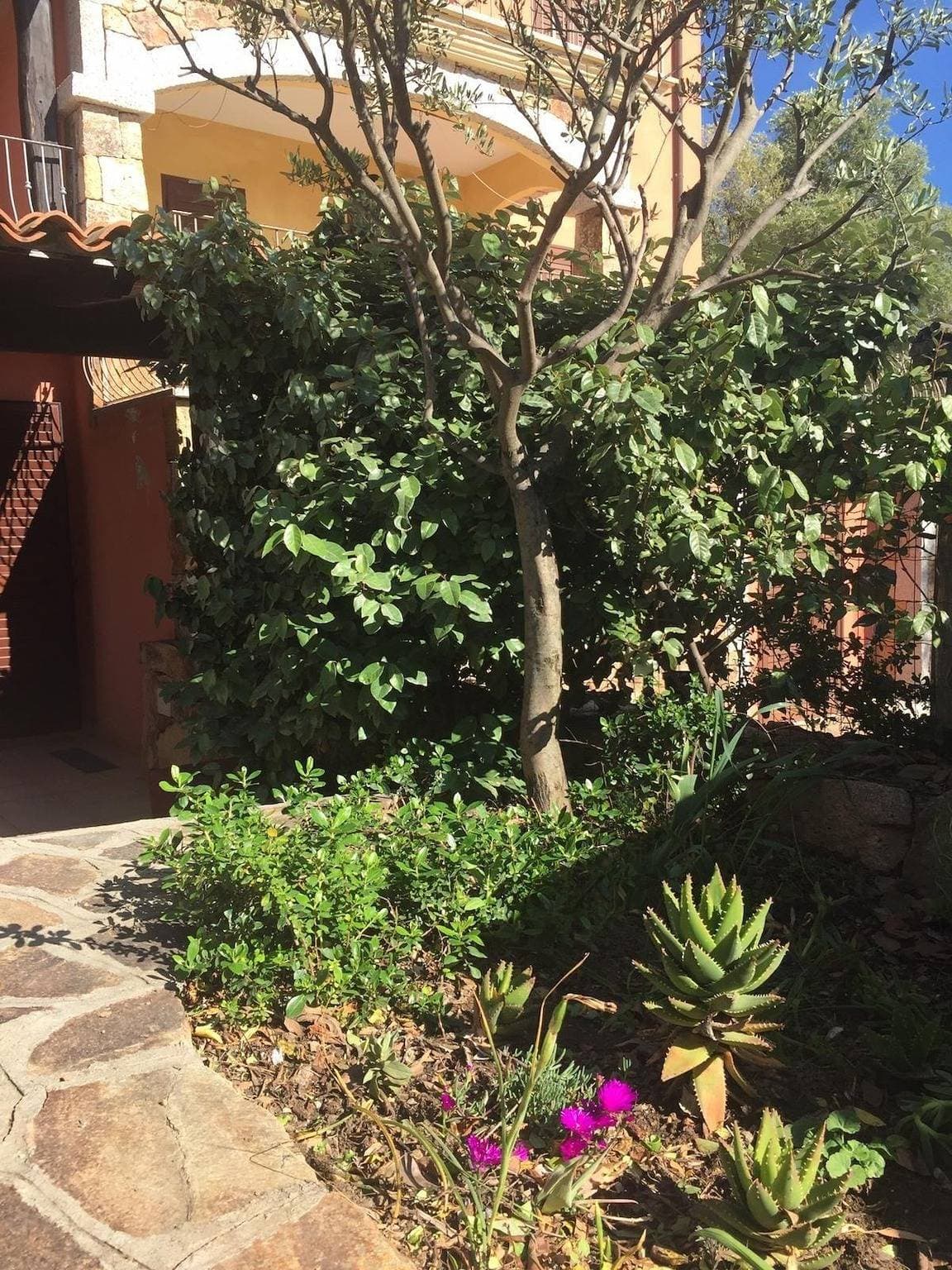 Foto 11 von 21: Bellavista Holiday Home