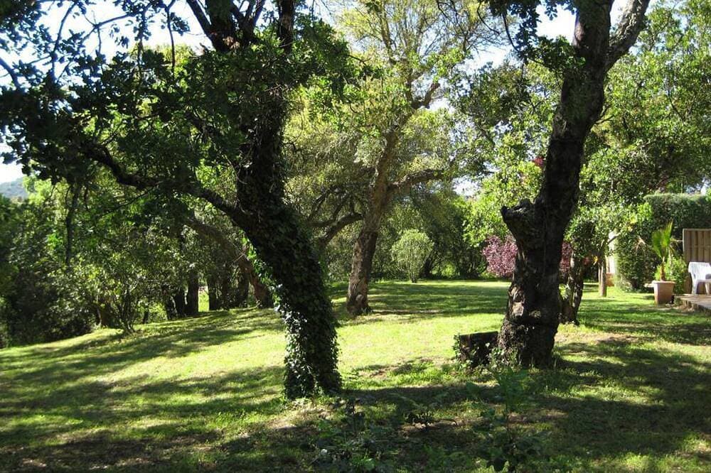 Foto 7 von 12: Le Merle - Cogolin - Gîte