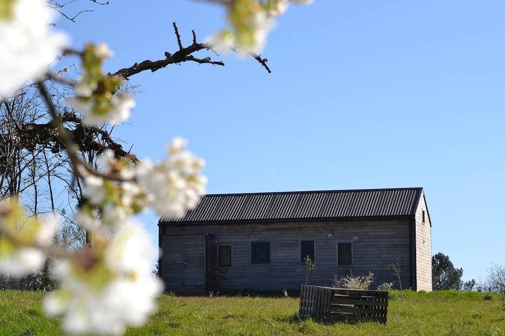 Foto 9 von 24: 🐿️ Cabane de l'Ecureuil