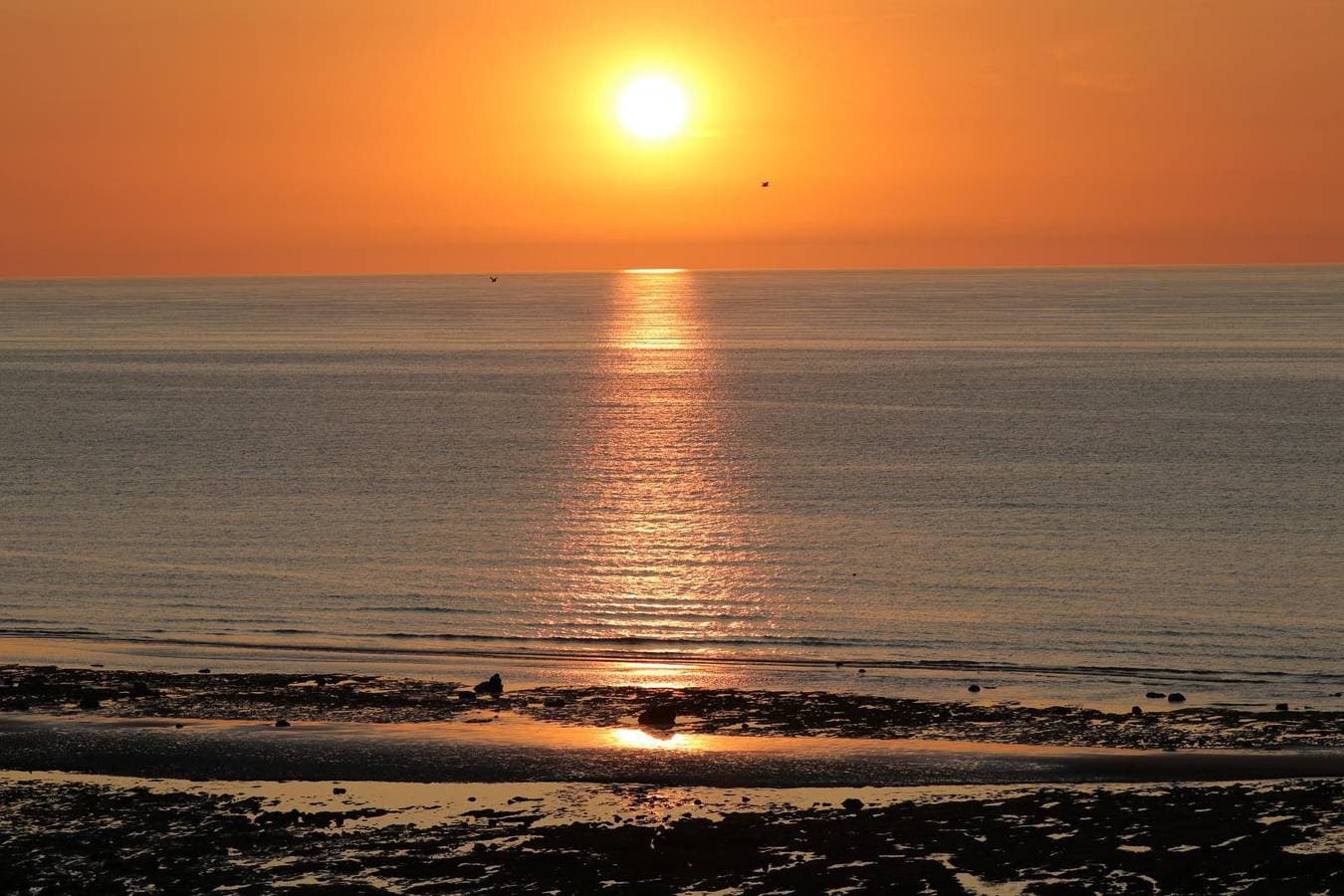 Foto 5 von 17: Gîtes de France® - Le Phare Ouest