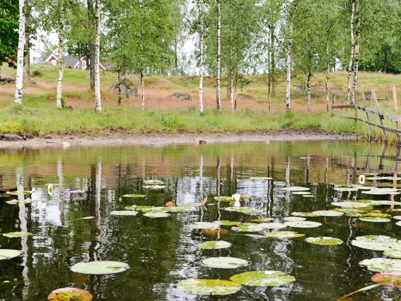 Foto 6 von 21: 6 Personen Ferienhaus in Långaryd