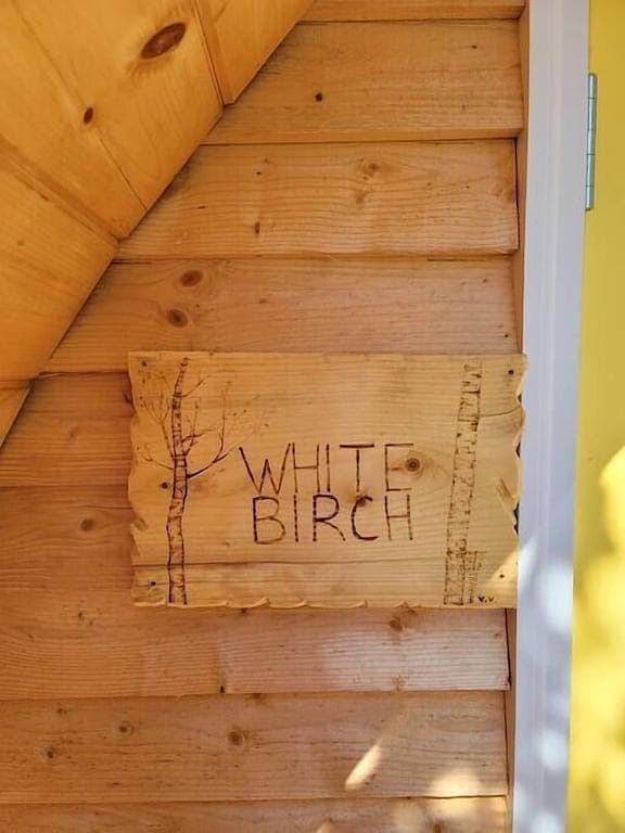 Foto 6 von 6: White Birch Camping Pod at The Spruces