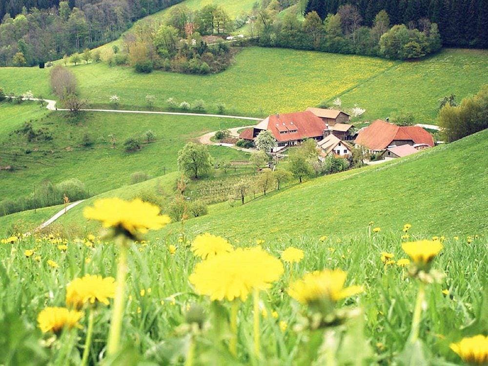 Jungbauernhof 1