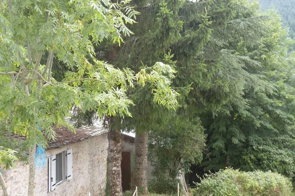 Foto 10 von 27: Haus mit allem komfort haustiere erlaubt