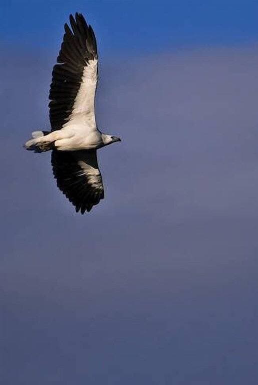 Foto 11 von 32: Long Point Break - Unterkunft am Strand