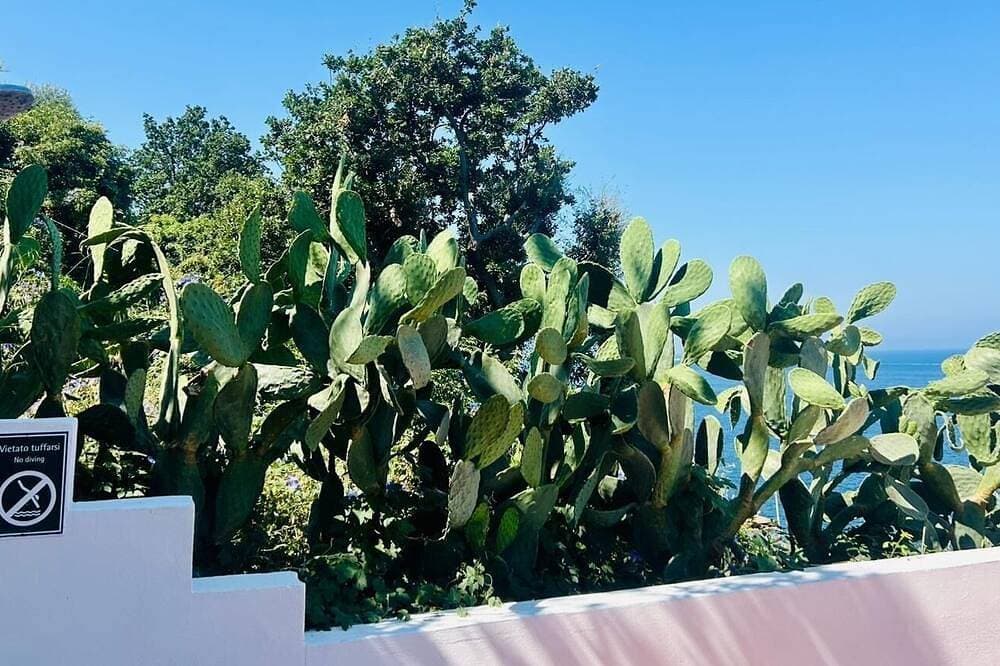 Foto 7 von 30: Schöne Panorama-Villa in einem privaten Park mit Abstieg zum Meer