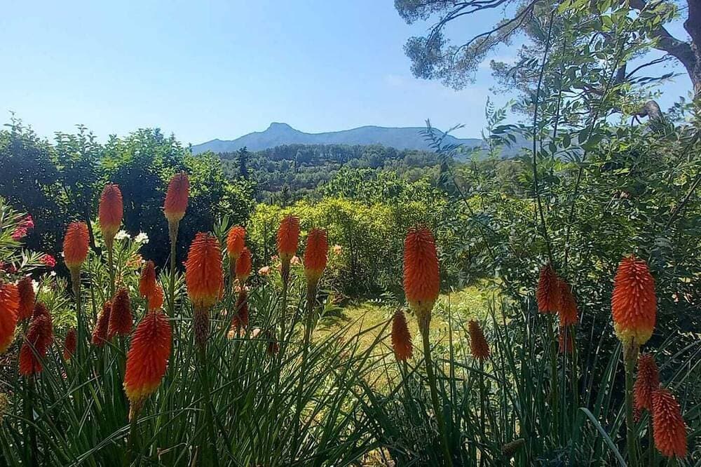 Foto 10 von 25: 15 Minuten von Cassis, Wohnung in einem provenzalischen Landhaus
