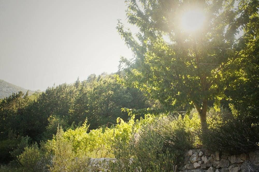 Foto 9 von 21: Green dream in Cetina canyon