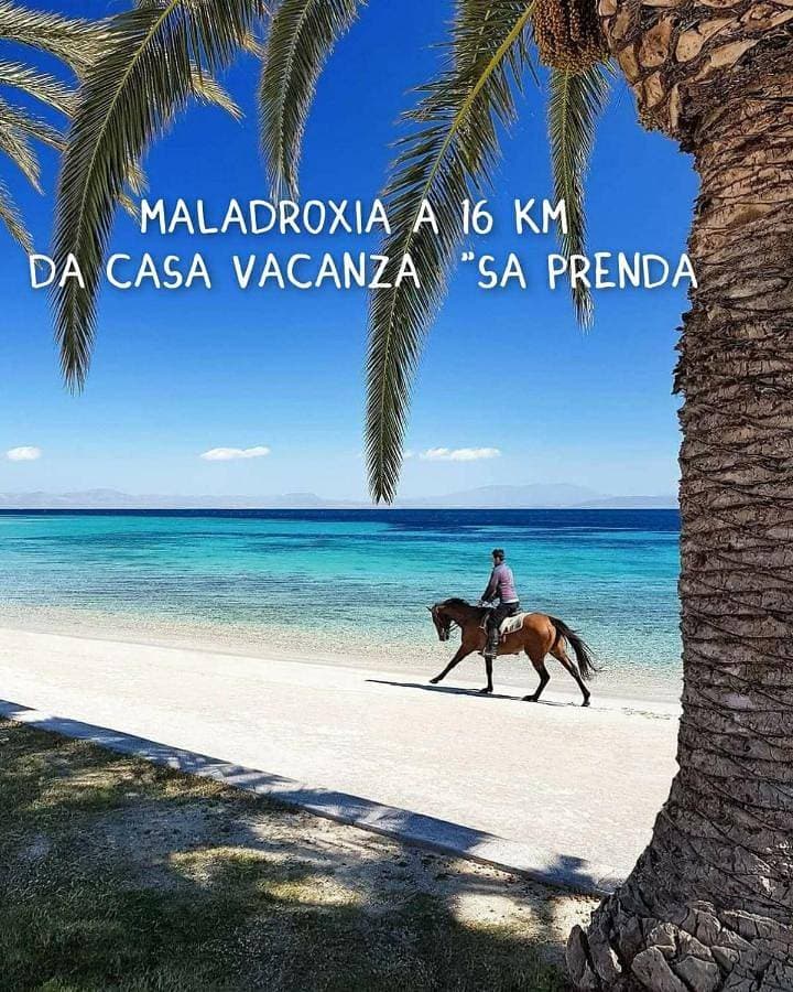 Foto 4 von 27: Casa Vacanza Sa Prenda