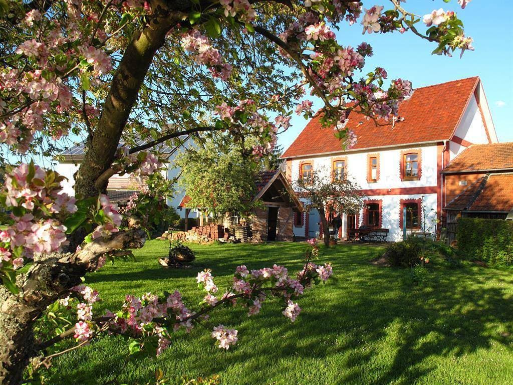 Foto 3 von 55: Altes Schifferhaus