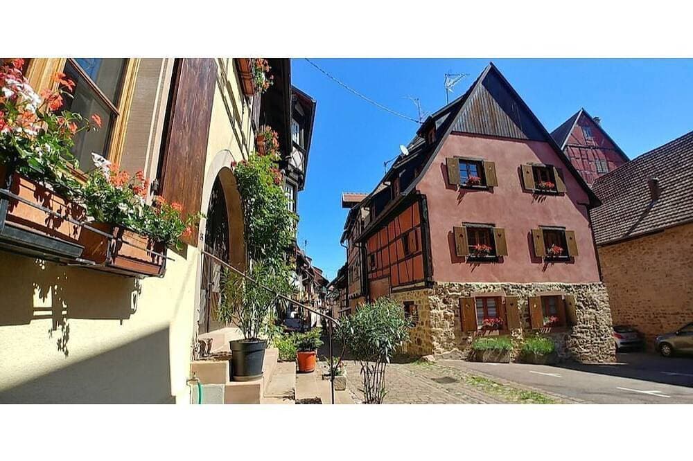 Foto 7 von 19: L'Alsacienne - cosy gite